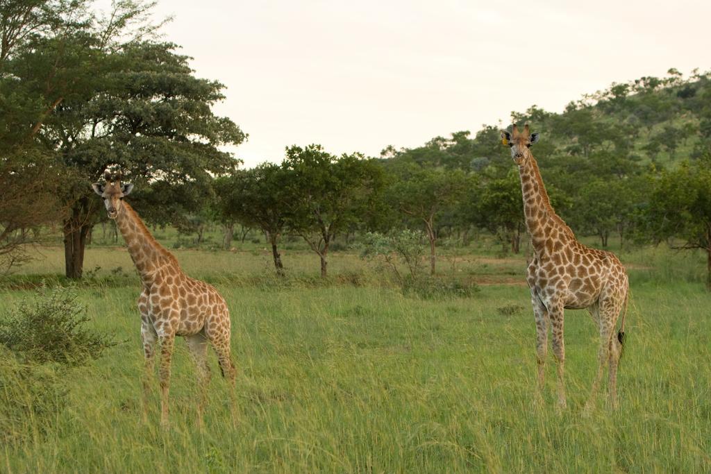 Kedar Heritage Lodge, Conference Centre & Spa Phokeng Екстер'єр фото